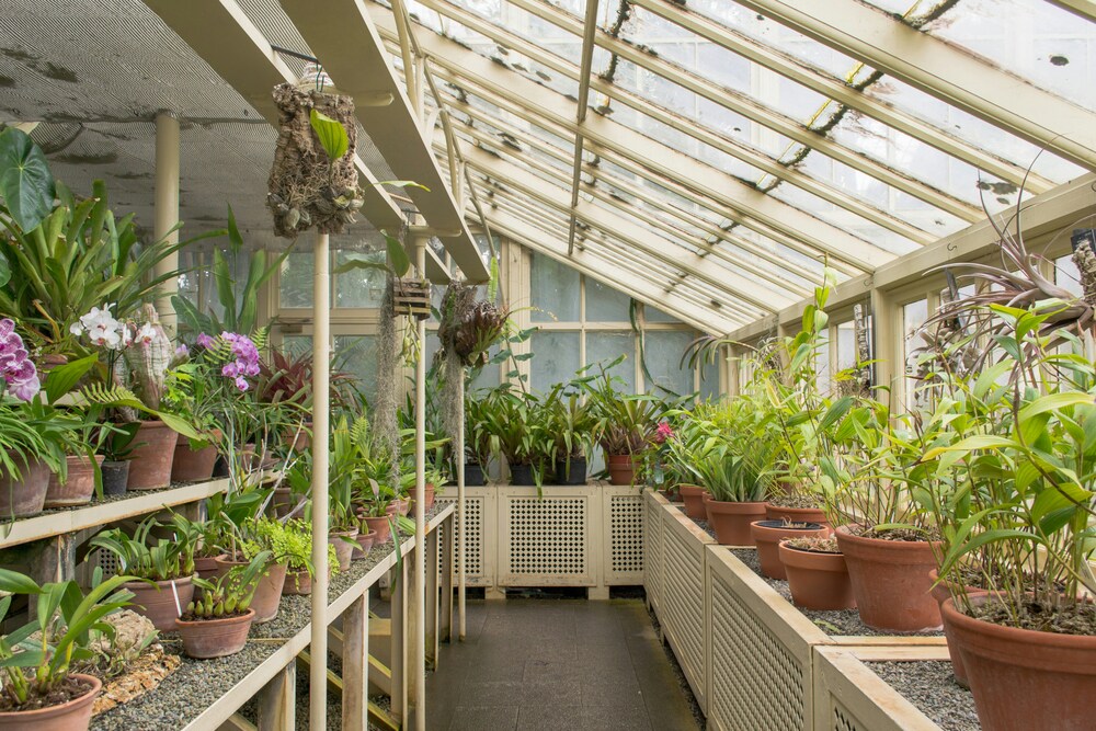 植物園のWebサイトを運営【open-nursery.jp】